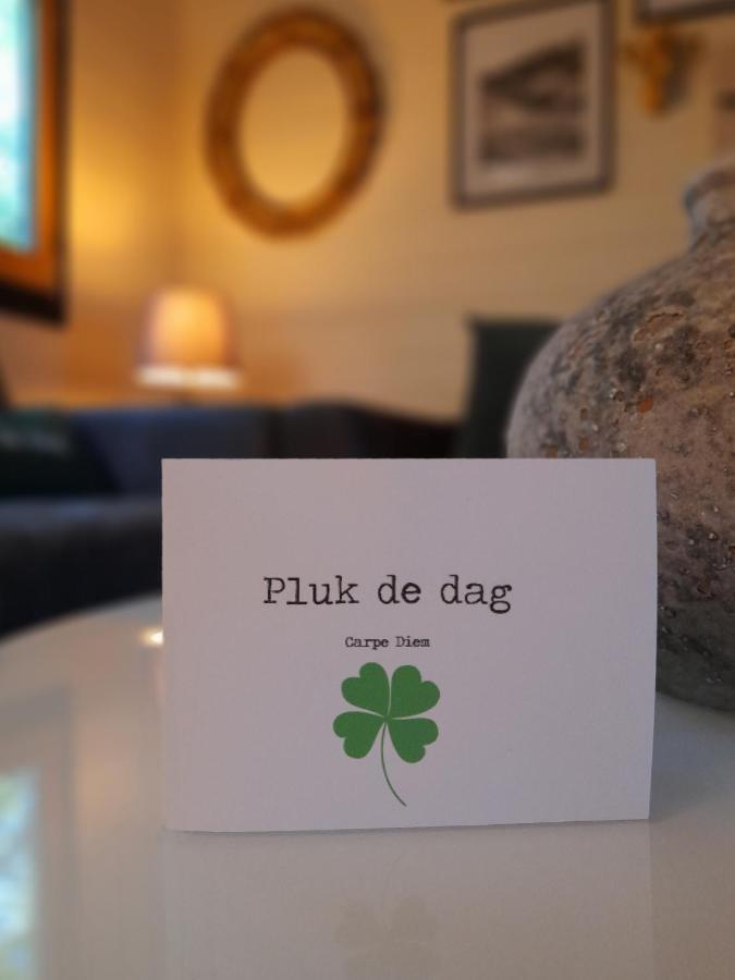 Carpe Diem, Het Ruime Met Houtkachel Nabij Wildlands Emmen Chalet Schoonebeek